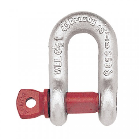 Шегел тестван продълговат